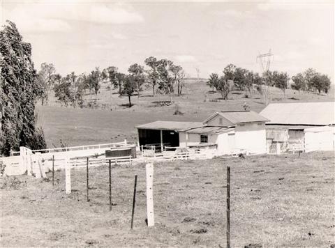 Image10