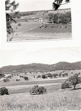 Image11